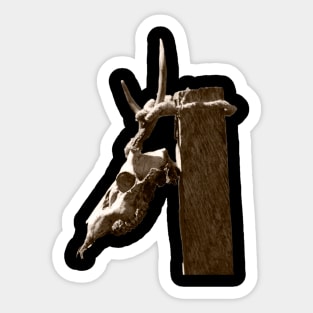 dead animal head bones Sticker